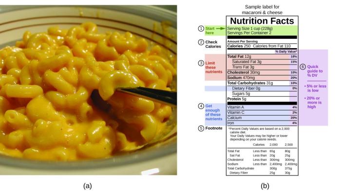 Mac and cheese cup nutrition facts