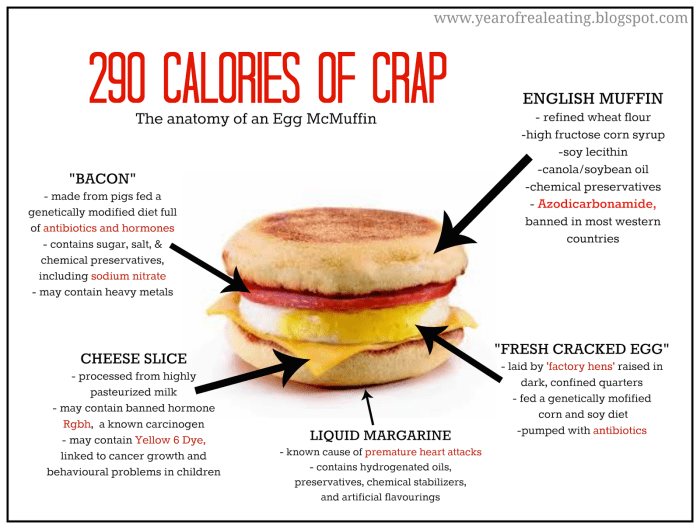 Egg mcmuffin no cheese nutrition